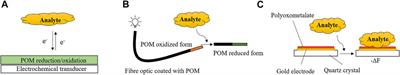 Polyoxometalate Functionalized Sensors: A Review
